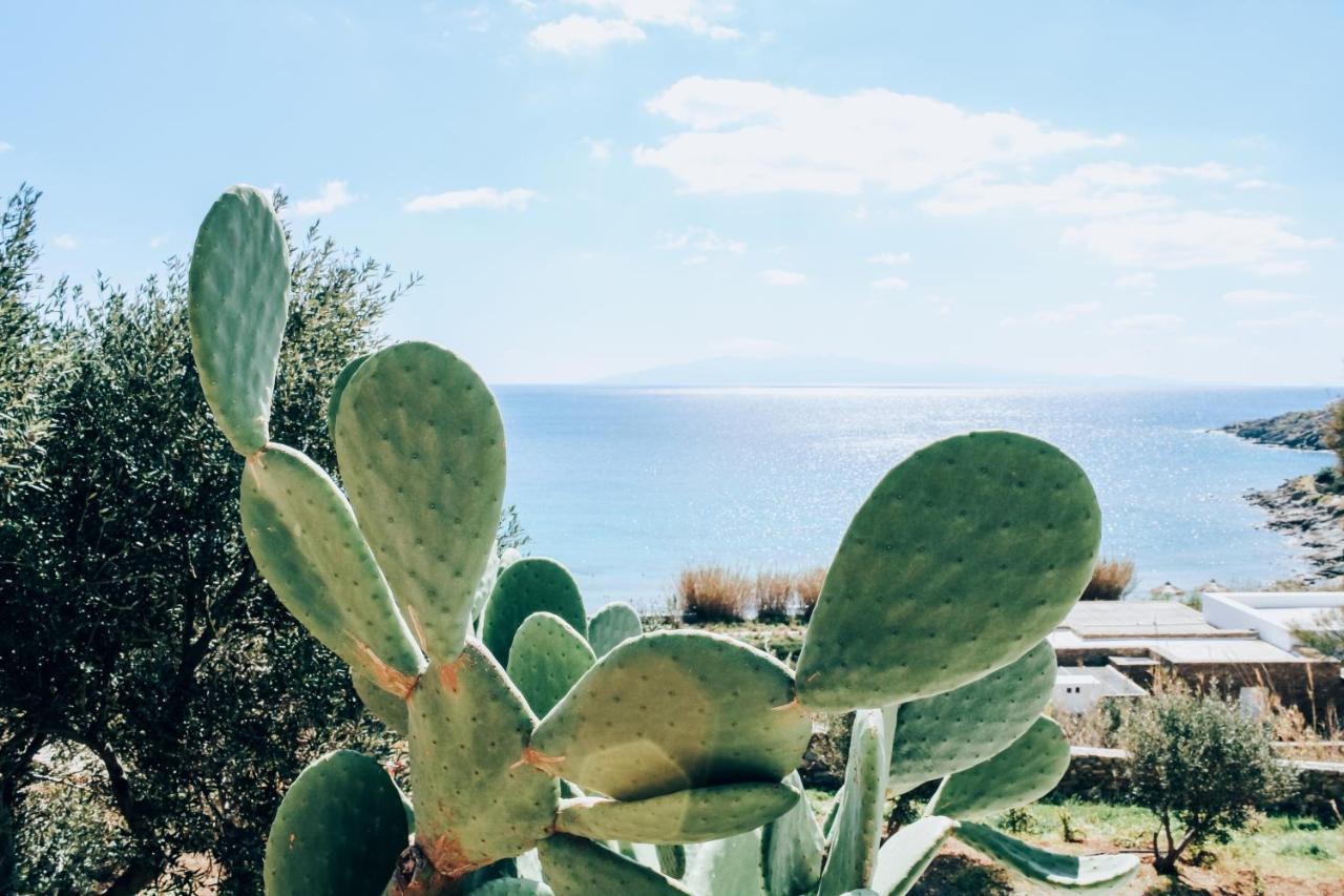 The Elaia House Mykonos Villa Ornos  Exteriör bild