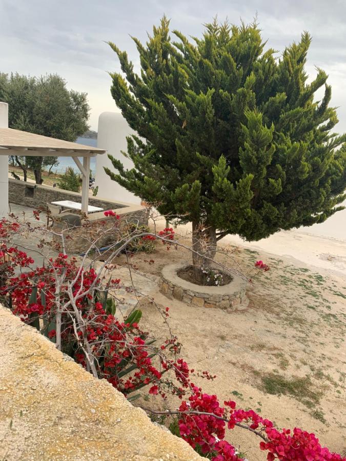 The Elaia House Mykonos Villa Ornos  Exteriör bild